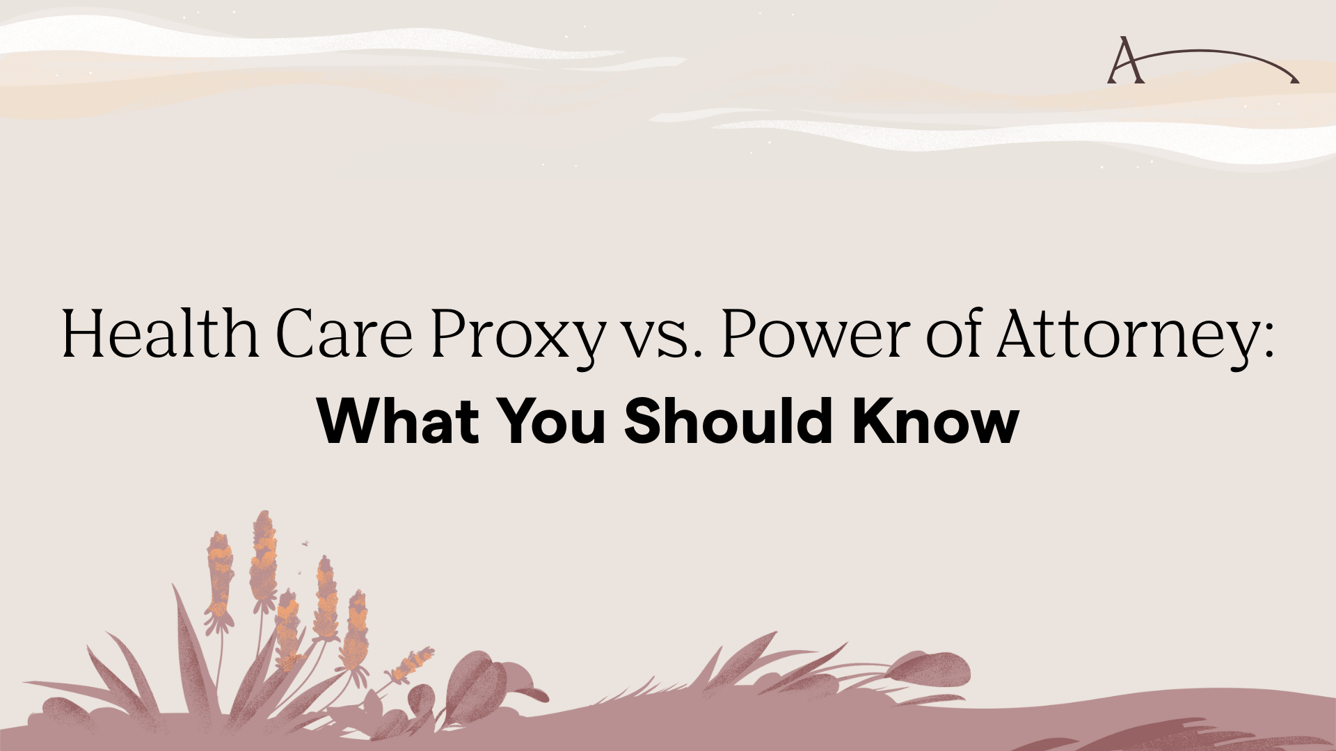 Health Care Proxy vs. Power of Attorney: What You Should Know | After